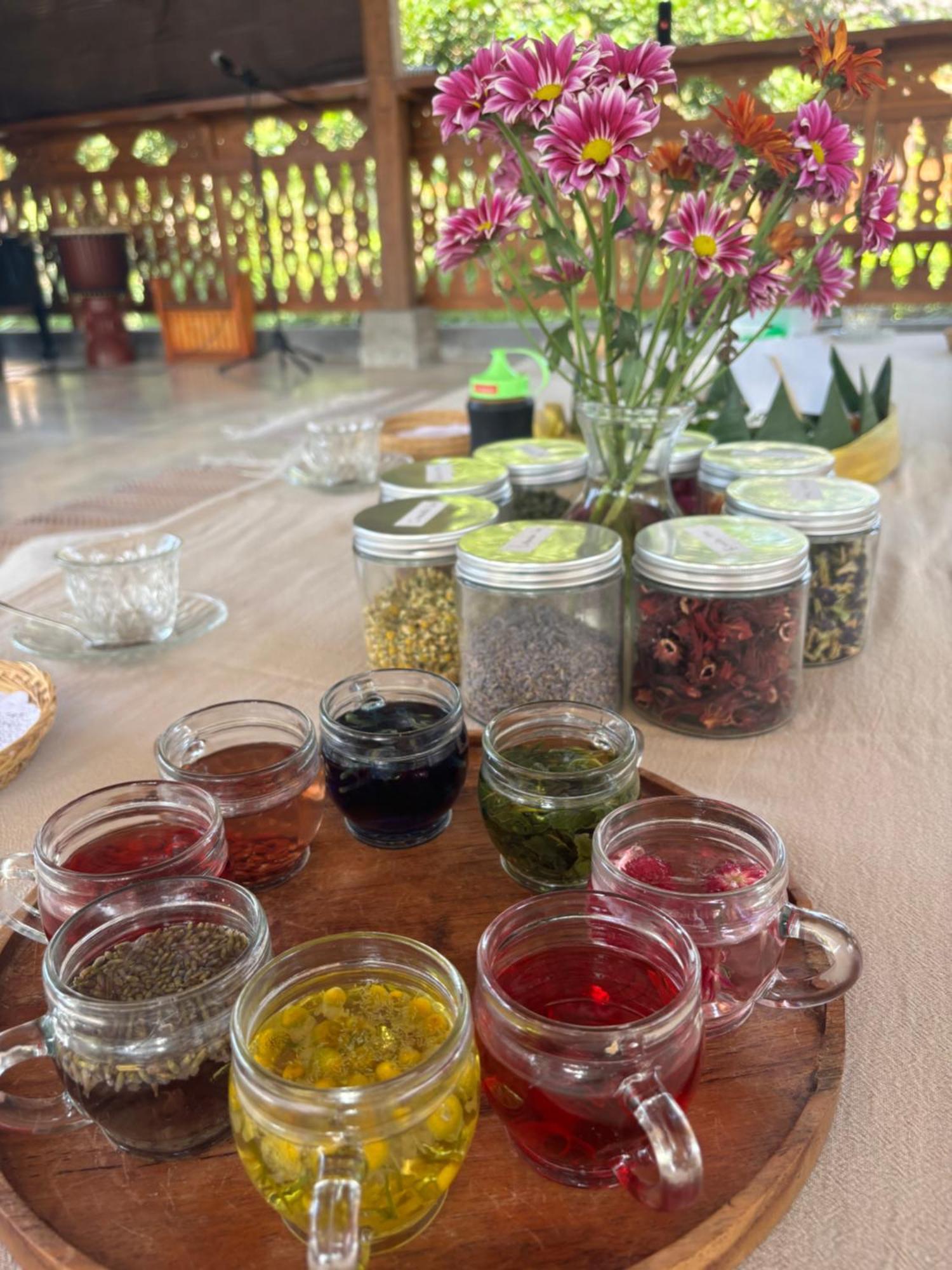 Nunu Bali Eco Friendly Retreat Canggu